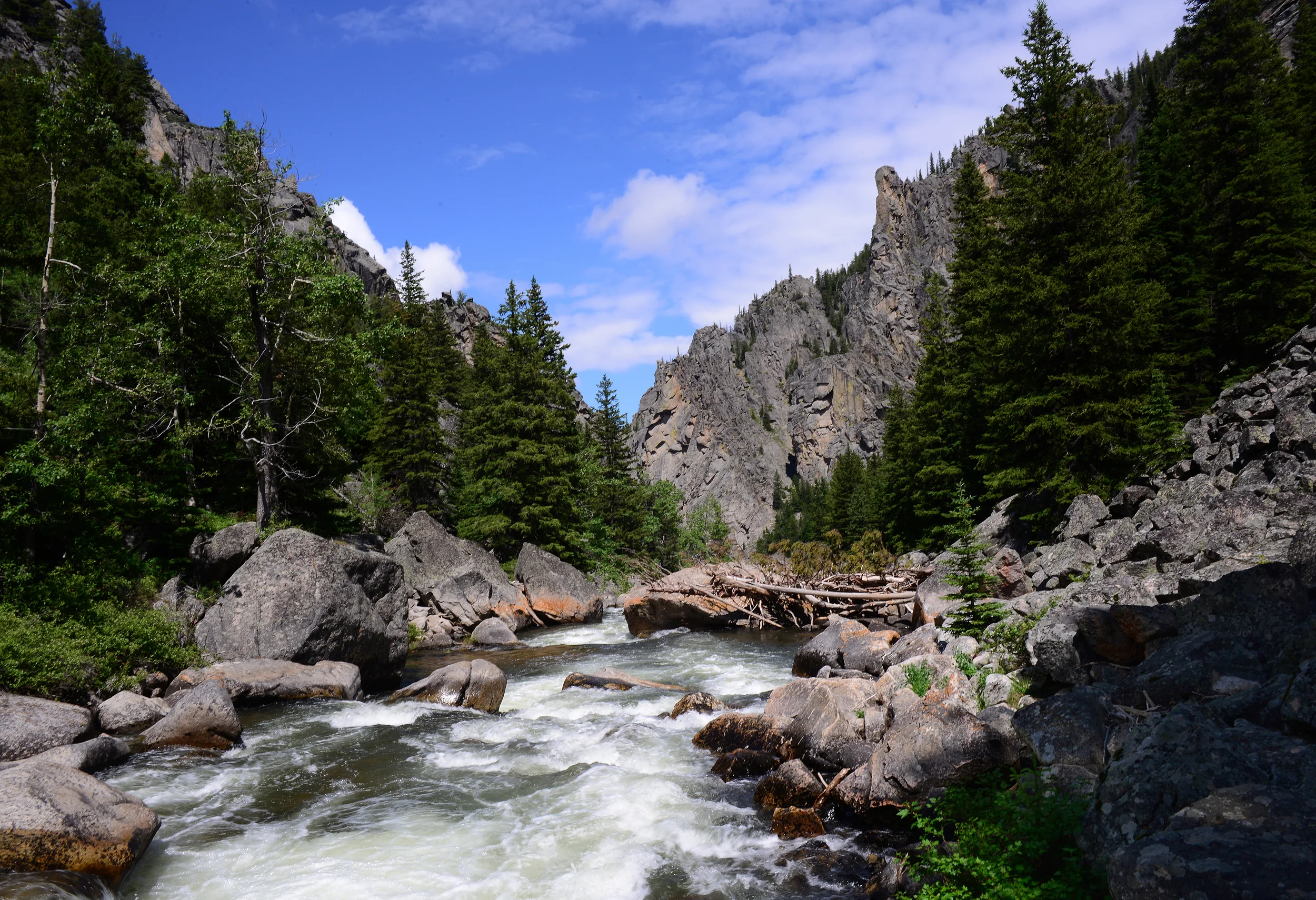 Bighorn Mountains